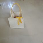 Vidhya Murali Krishnan