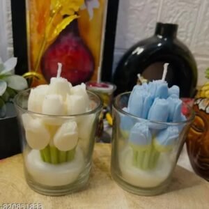 Aesthetic Handmade Soya wax Glass Candles