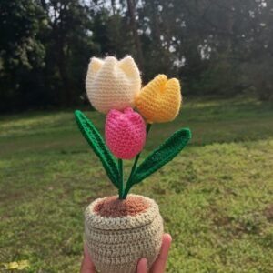Tulip flower pot