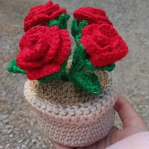 Rose flower pot