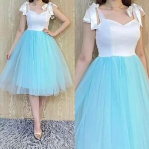 Net tulle frock