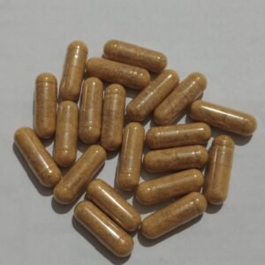 Cordyceps Capsules (60 Capsules)